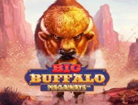 game logo by Skywind Group on spinjocasinoo.com
