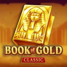 game logo by Playson on spinjocasinoo.com