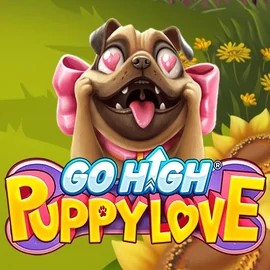 game logo by RubyPlay on spinjocasinoo.com